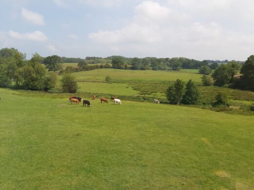 Great views over the open fields