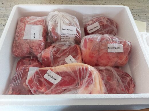 Grass fed beef available to buy on farm